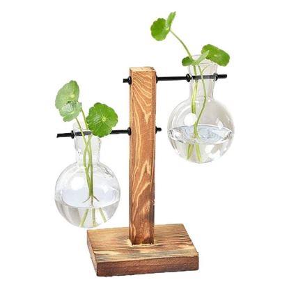 Imaginea Stand pentru vaze pentru multiplicarea plantelor