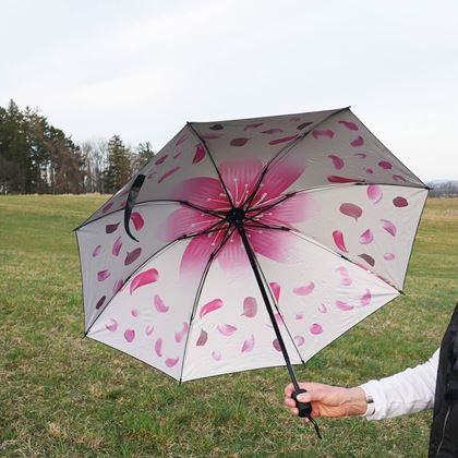 Imaginea din Umbrelă pliabilă - petale albe