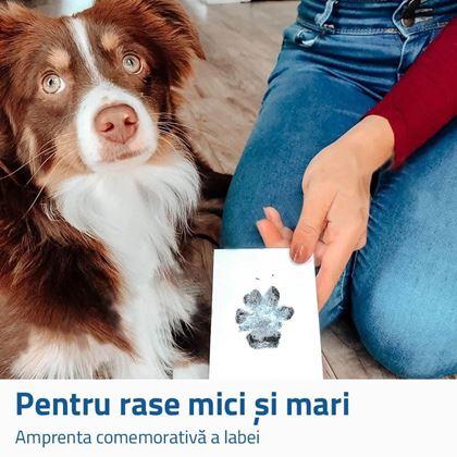 Imaginea din Set pentru amprenta labuței - mare