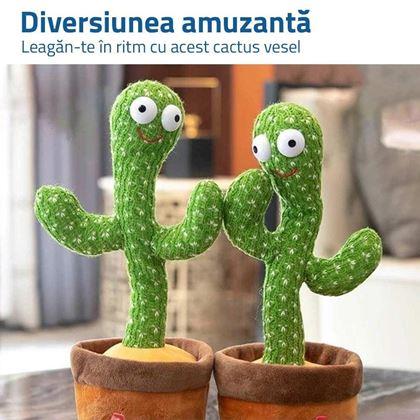 Imaginea din Cactus vorbitor și cântător - vesel