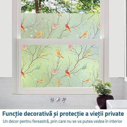 Imaginea din Folie decorativă pentru ferestre - păsărele