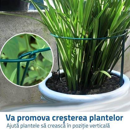 Imaginea din Suport metalic pentru plante 2 buc 40 cm