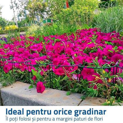 Imaginea din Suport metalic pentru plante 2 buc 40 cm