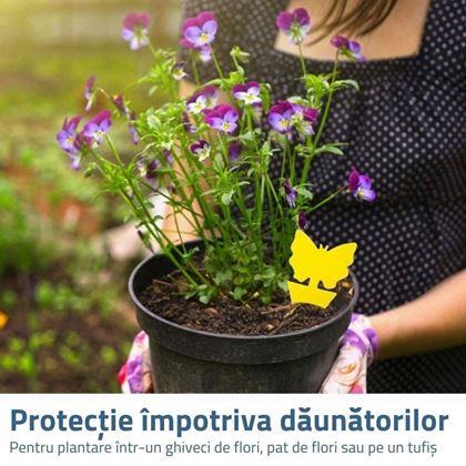 Imaginea din Protecție pentru plante împotriva insectelor 12 buc