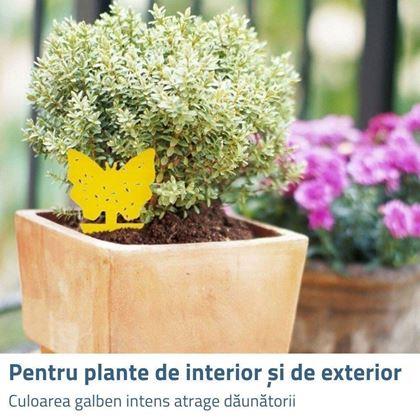 Imaginea din Protecție pentru plante împotriva insectelor 12 buc