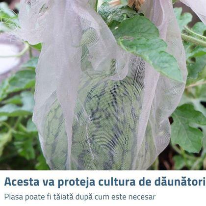 Imaginea din Plasă de protecție împotriva insectelor