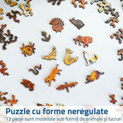 Imaginea Puzzle din lemn cu forme neregulate