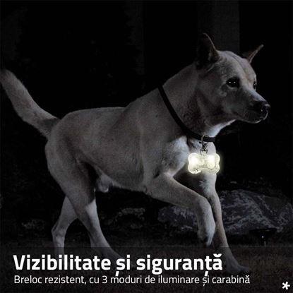 Imaginea Breloc LED luminos pentru zgardă