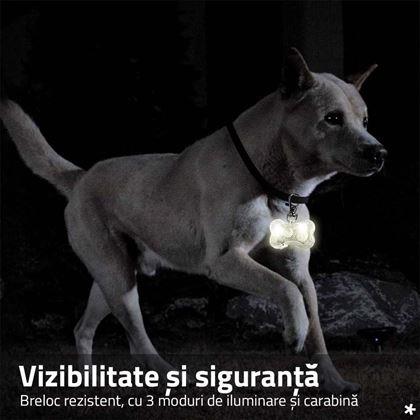 Imaginea din Breloc LED luminos pentru zgardă