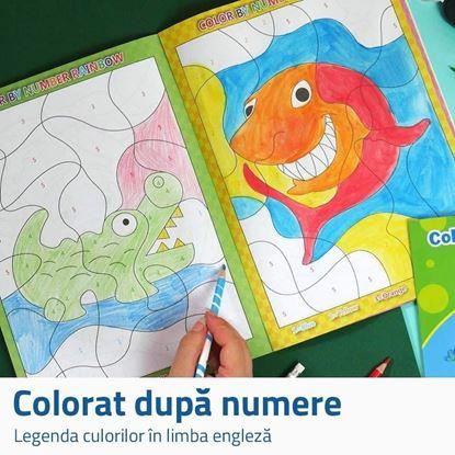 Imaginea Carte de colorat - pictură după numere