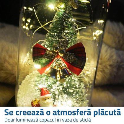 Imaginea din Decoratiune luminoasa de Craciun