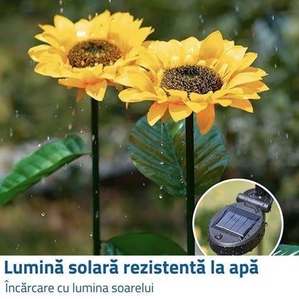 Imaginea din Lampă solară decorativă - floarea-soarelui