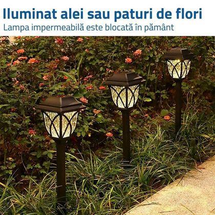 Imaginea din Set 2 lămpi solare LED spre grădină