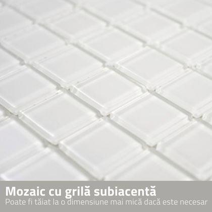 Imaginea din Mozaic de sticla pe grila 30 x 30 cm - alb